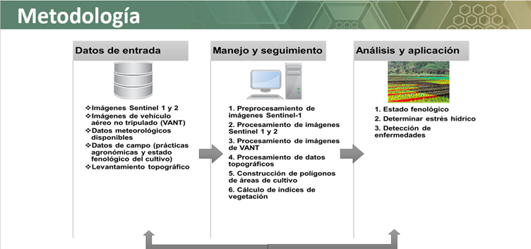 Metodologia